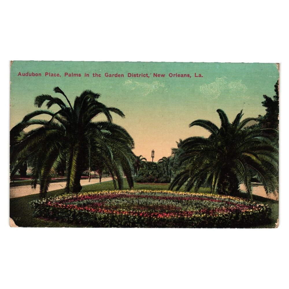 Vintage 1918 Postcard Audubon Place Palms Garden New Orleans LA J Scordill
